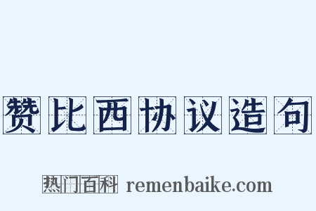 赞比西协议造句是什么意思的图片